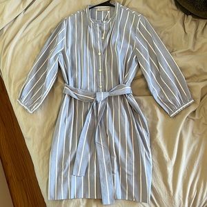 Everlane Blue and White Striped Button Up Dress